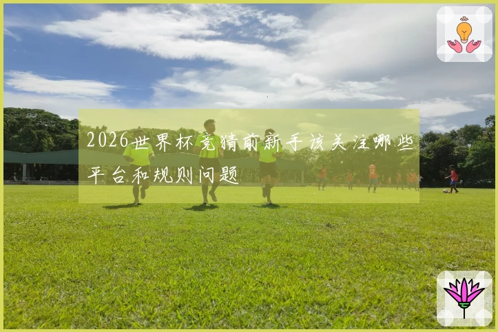 2026世界杯竞猜前新手该关注哪些平台和规则问题
