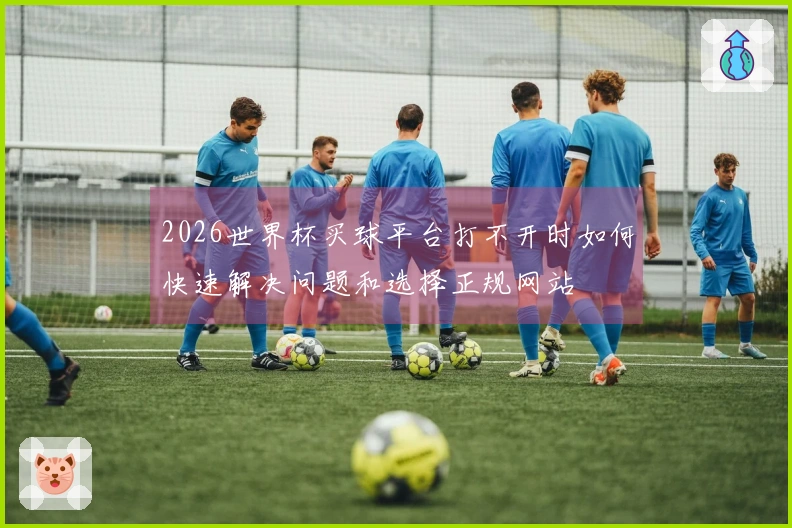 2026世界杯买球平台打不开时如何快速解决问题和选择正规网站