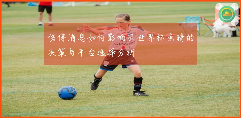 伤停消息如何影响买世界杯竞猜的决策与平台选择分析