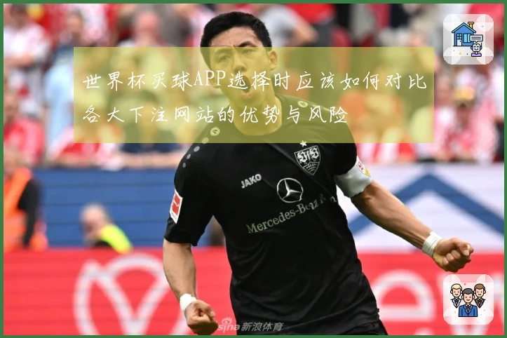 世界杯买球APP选择时应该如何对比各大下注网站的优势与风险