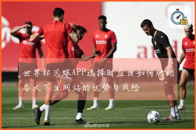 世界杯买球APP选择时应该如何对比各大下注网站的优势与风险