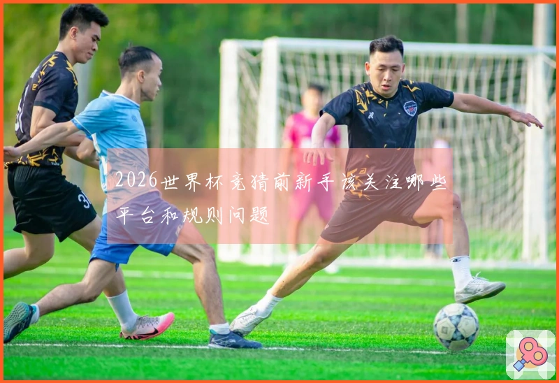 2026世界杯竞猜前新手该关注哪些平台和规则问题